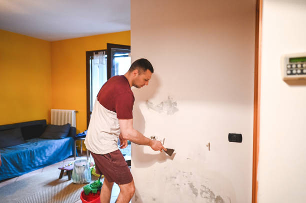 Best Toxic Mold Removal  in Punta Gorda, FL